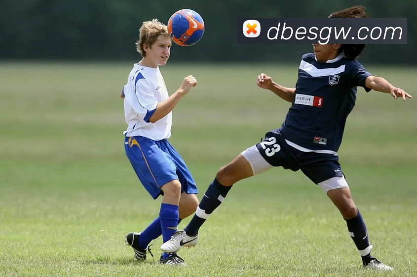 db电竞官网app品牌故事