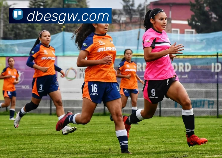 db电竞官网app服务体系